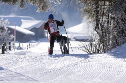 Lenk 2013